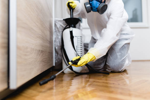 Best Best Pest Control Companies  in Naples, UT
