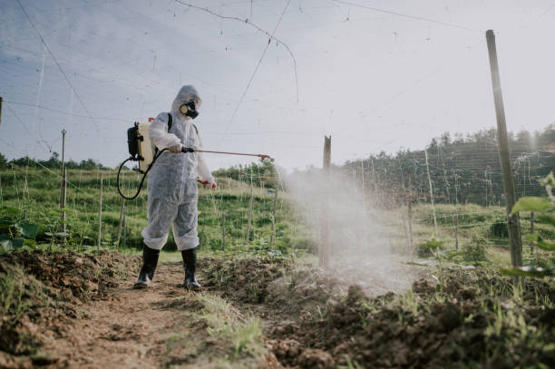 Best Pest Control Treatment  in Naples, UT
