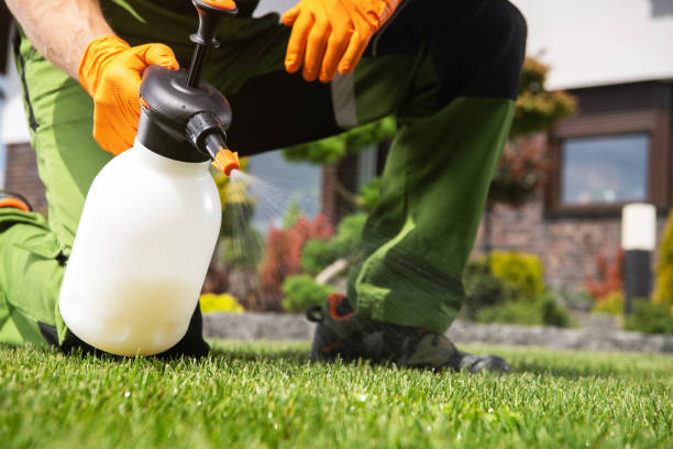 Best Residential Pest Control  in Naples, UT