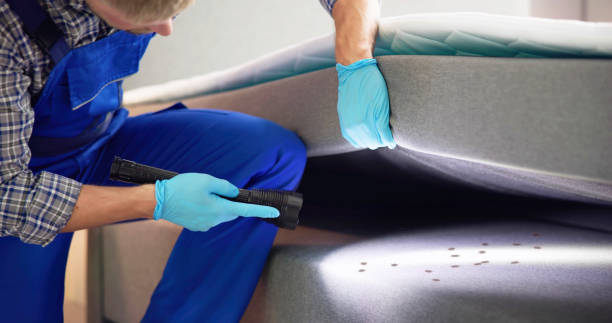 Best Best Pest Control Companies  in Naples, UT