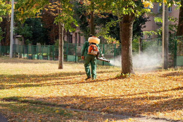 Best Wasp Removal Services  in Naples, UT