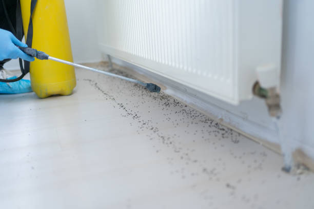 Best Best Pest Control Companies  in Naples, UT