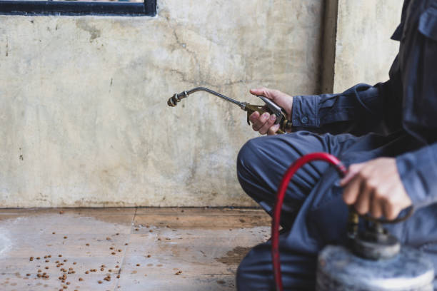 Best Pest Control for Restaurants  in Naples, UT
